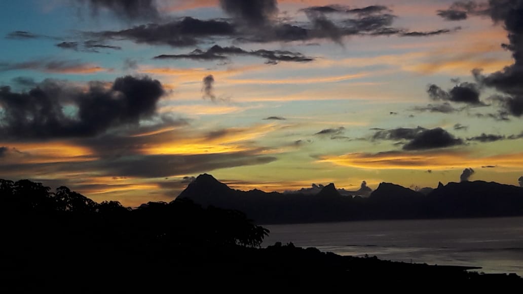 Pour veiller au bon fonctionnement de notre corps et apporter aux corps des bienfaits de propriétés de plantes médicinales produits naturels. Bien connu au moment ou notre corps en a besoin.